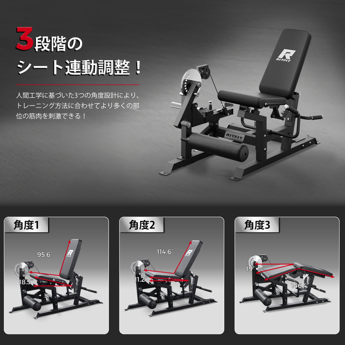 RITFIT レッグエクステンション カールマシン Mustang PRO