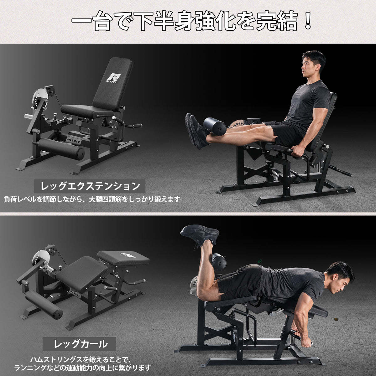 RITFIT レッグエクステンション カールマシン Mustang PRO